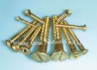 Brass Wood Screw Fastener Bolt Nut